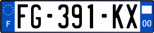 FG-391-KX