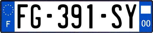 FG-391-SY