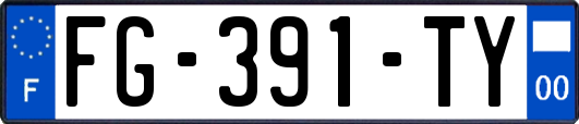 FG-391-TY
