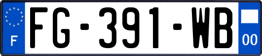 FG-391-WB