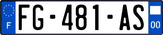 FG-481-AS