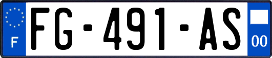 FG-491-AS