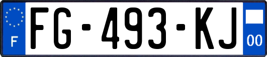 FG-493-KJ