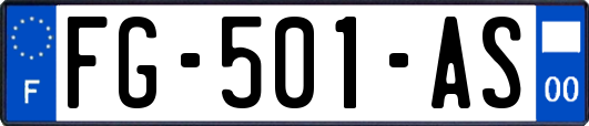 FG-501-AS