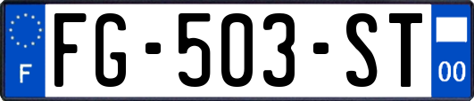 FG-503-ST