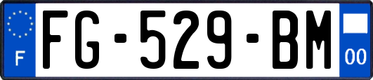 FG-529-BM