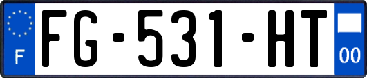 FG-531-HT