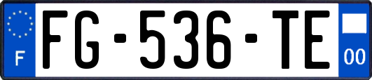 FG-536-TE