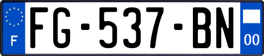 FG-537-BN