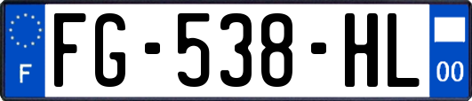FG-538-HL