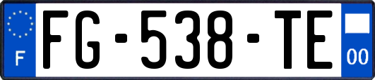 FG-538-TE