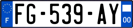 FG-539-AY