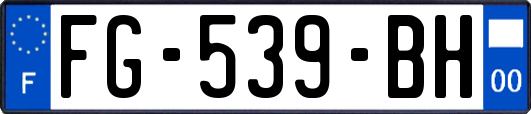 FG-539-BH