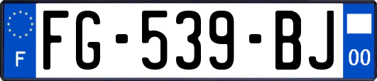 FG-539-BJ