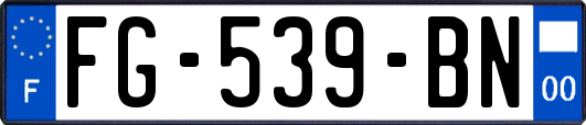 FG-539-BN