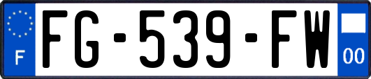 FG-539-FW