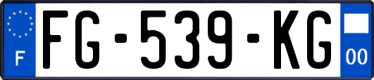 FG-539-KG