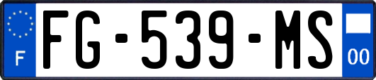FG-539-MS