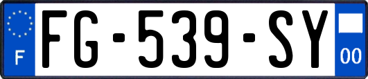 FG-539-SY