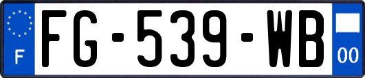 FG-539-WB