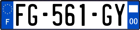 FG-561-GY