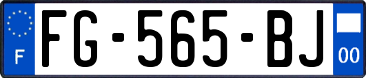 FG-565-BJ