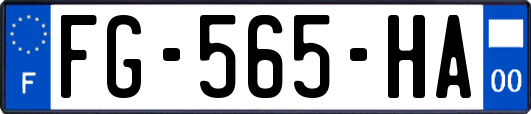 FG-565-HA