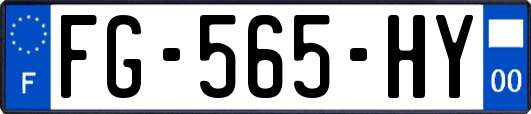 FG-565-HY