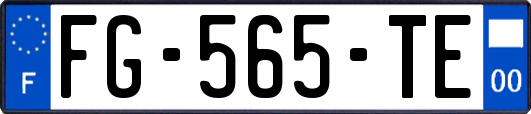 FG-565-TE