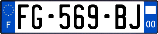 FG-569-BJ