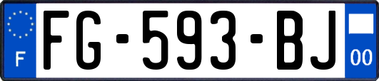 FG-593-BJ