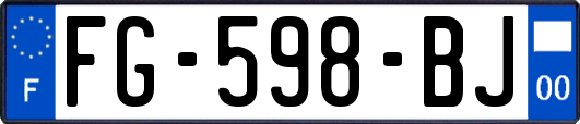 FG-598-BJ