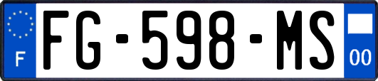 FG-598-MS