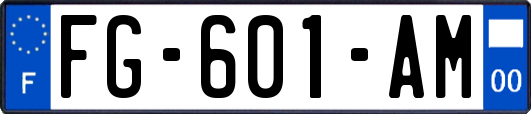 FG-601-AM