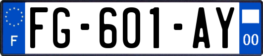 FG-601-AY