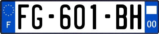 FG-601-BH