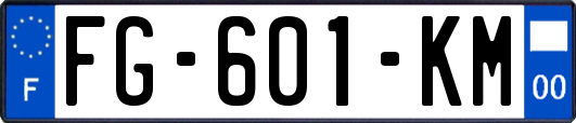 FG-601-KM