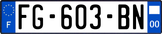 FG-603-BN