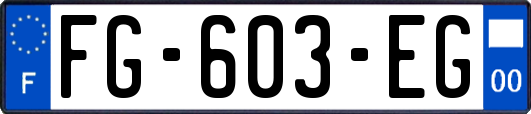 FG-603-EG