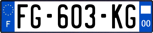 FG-603-KG