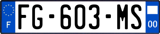 FG-603-MS