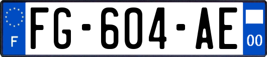 FG-604-AE