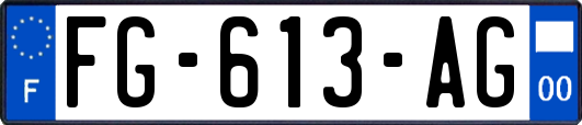 FG-613-AG