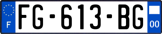 FG-613-BG