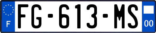 FG-613-MS