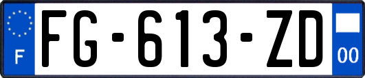 FG-613-ZD