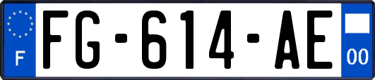 FG-614-AE