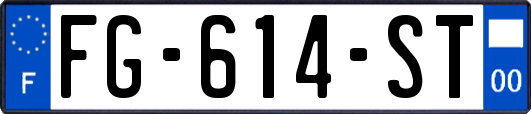 FG-614-ST