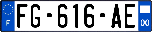 FG-616-AE