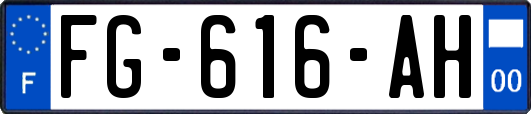 FG-616-AH